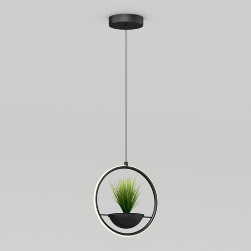 Colin LED modern planter pendant light 5 CCT black