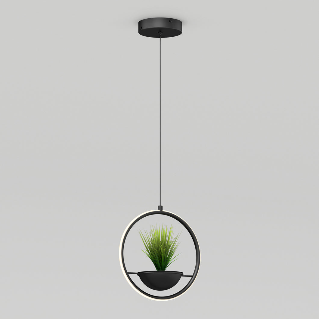Colin LED modern planter pendant light 5 CCT black