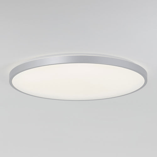 Europa 21 in. LED flush mount light silver - with remote