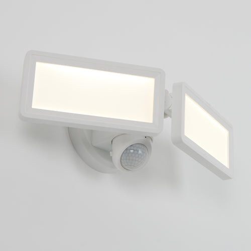 Sentinel Outdoor Flat Panel Security Light